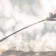 Fumigation-1